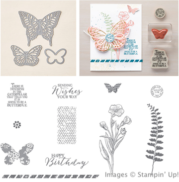 Butterfly Basics and Thinlits Bundle from Stampin' Up!
