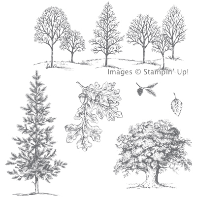 Click here to order the Lovely as a Tree Stamp Set from Stampin' Up!